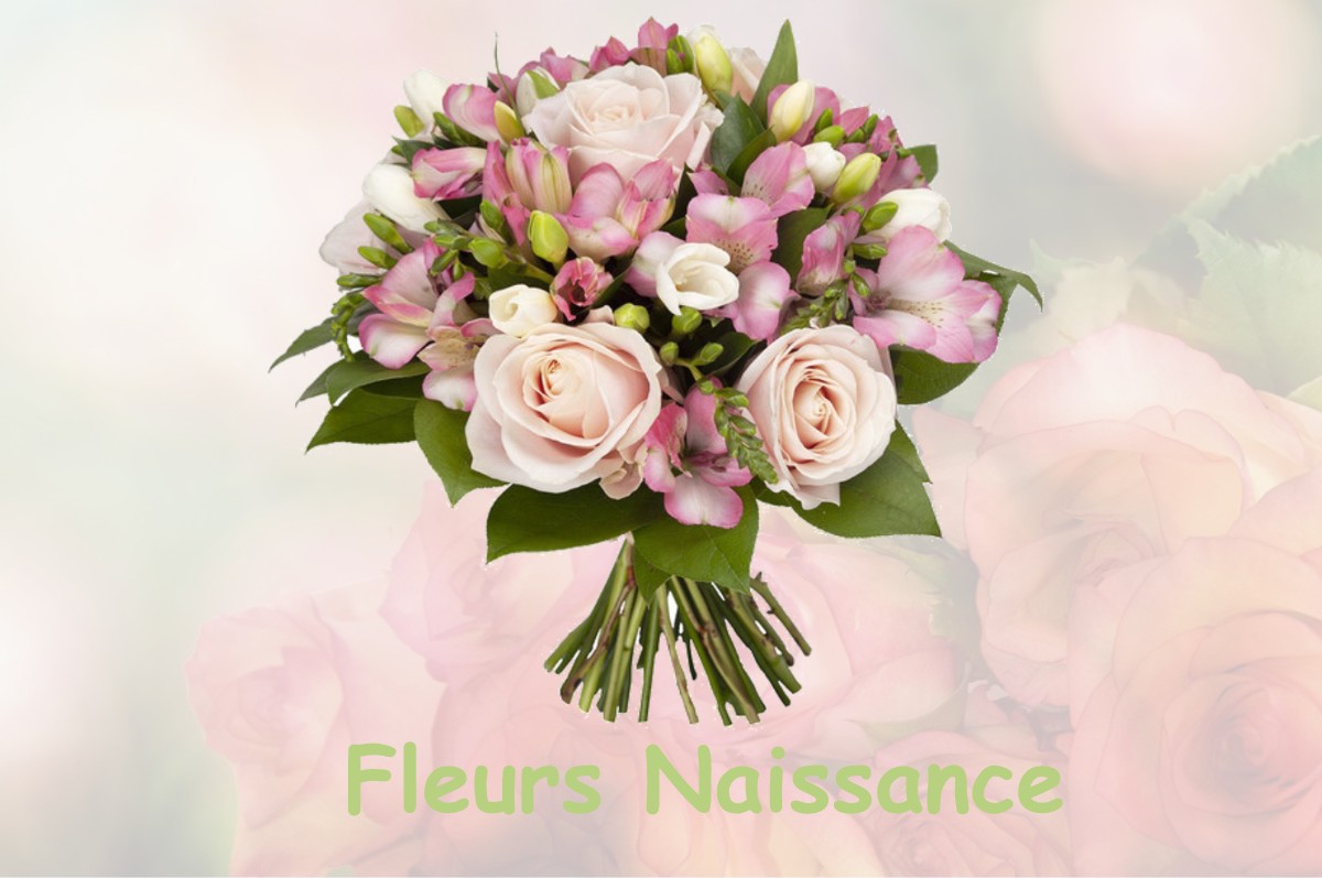 fleurs naissance POULE-LES-ECHARMEAUX