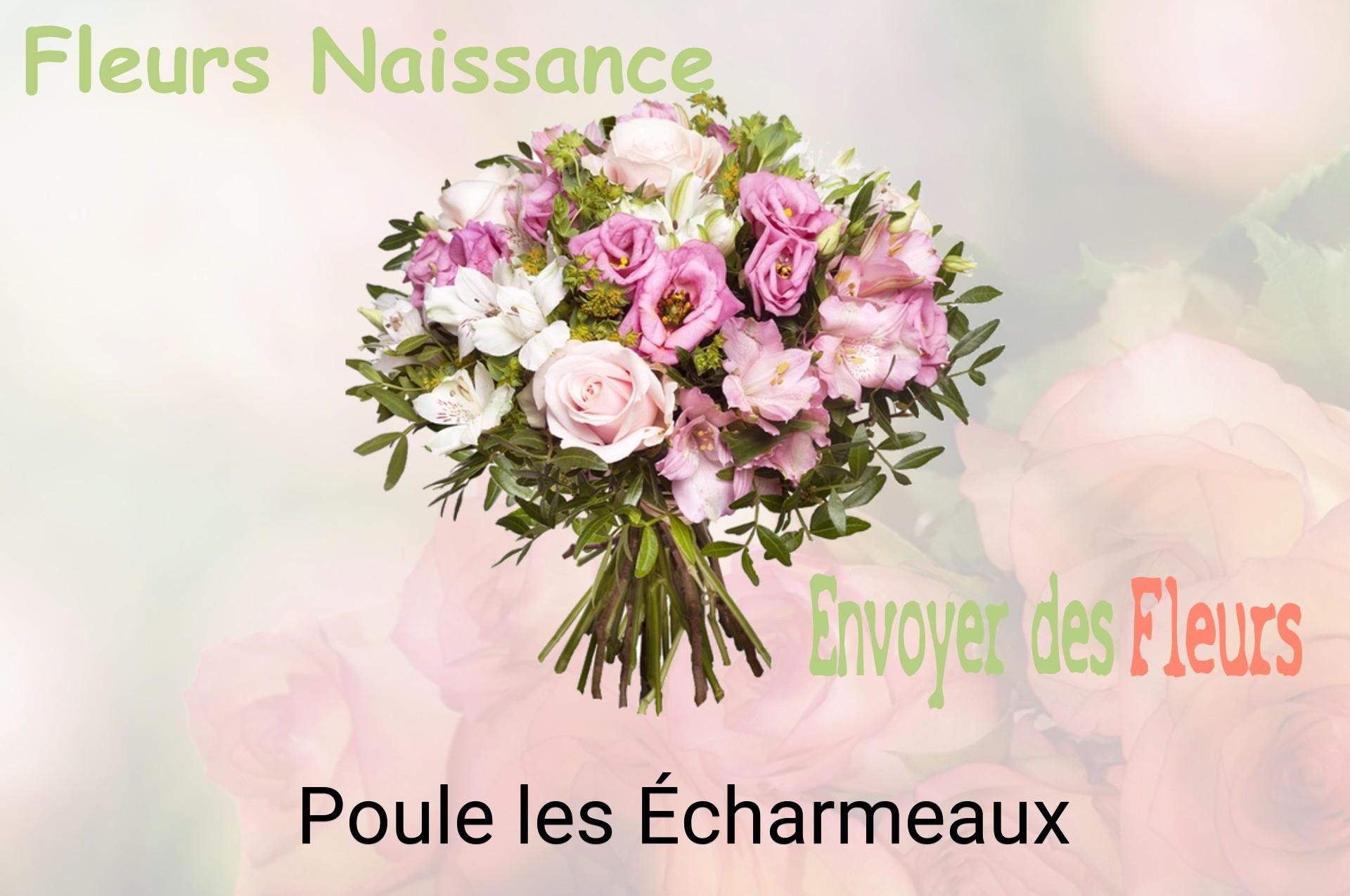 Bouquet de fleurs de naissance livré à Poule-les-Écharmeaux